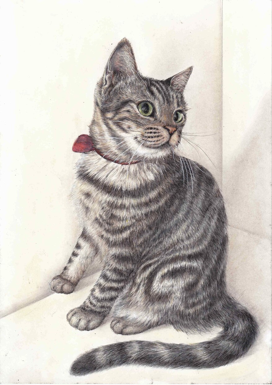 大切なペットをリアルで優しい絵画にいたします 動物を愛する作者が毛の一本一本まで愛情たっぷりに仕上げます。 イメージ6