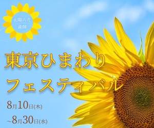 WEBバナー作成を格安で作ります 分かりやすくかつご要望に応じたバナーを作成します。 イメージ3