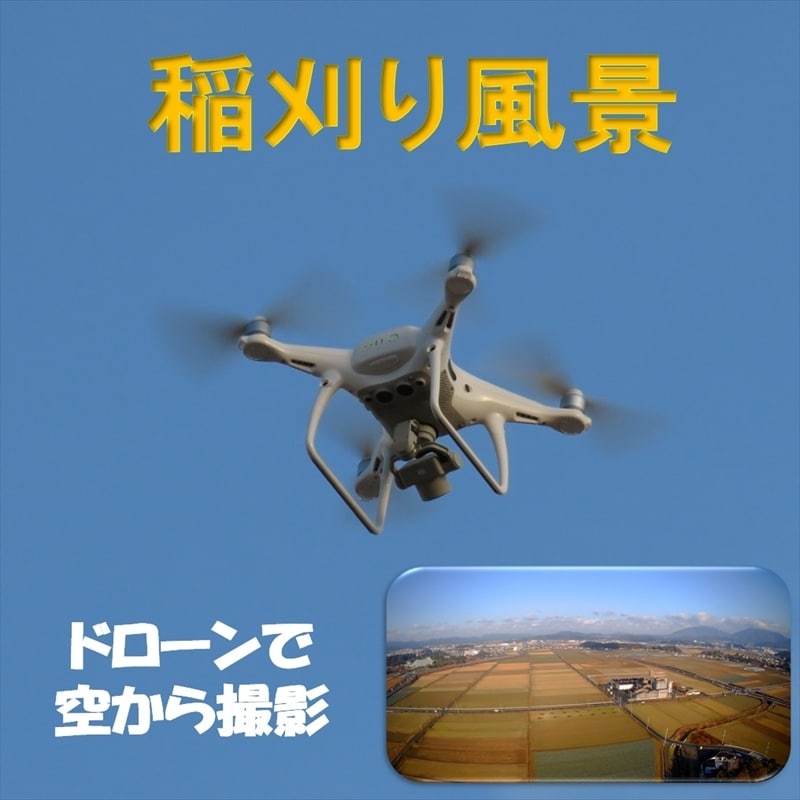 稲刈り作業、豊作田んぼ　ドローン空撮します 農作業風景、田んぼ全景、空から記念にドローン撮影 イメージ2