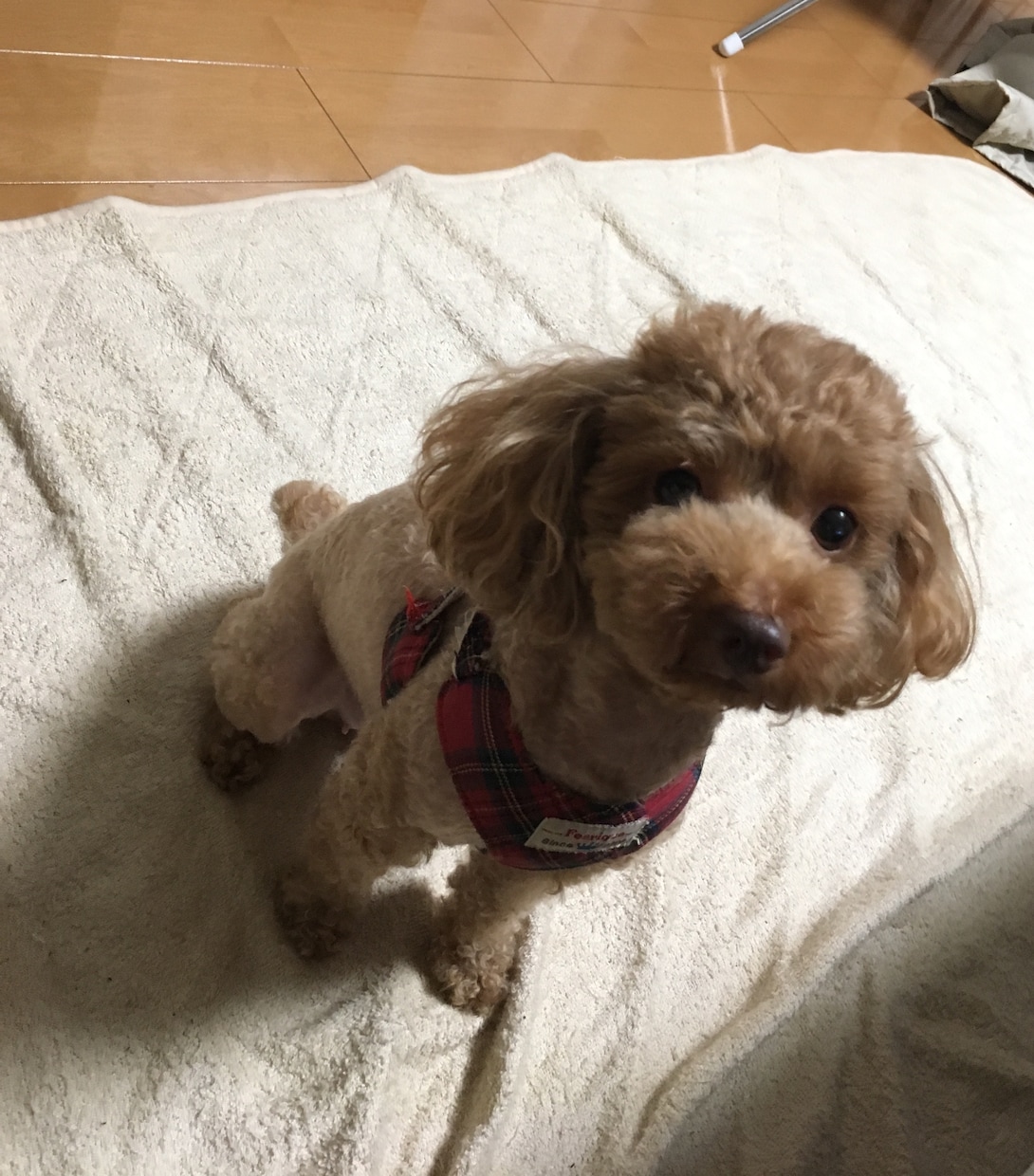 どんな些細な事でも相談に乗ります 人間関係、恋愛、愚痴等困っている人のチカラに！ イメージ1