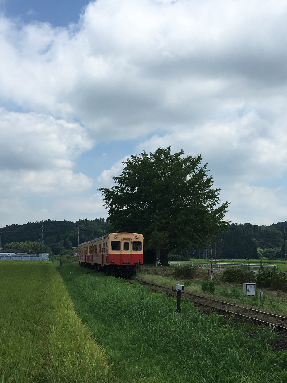 東京周辺の写真を撮影代行いたします 一眼、ミラーレス等の撮影。鉄道もok！ イメージ4
