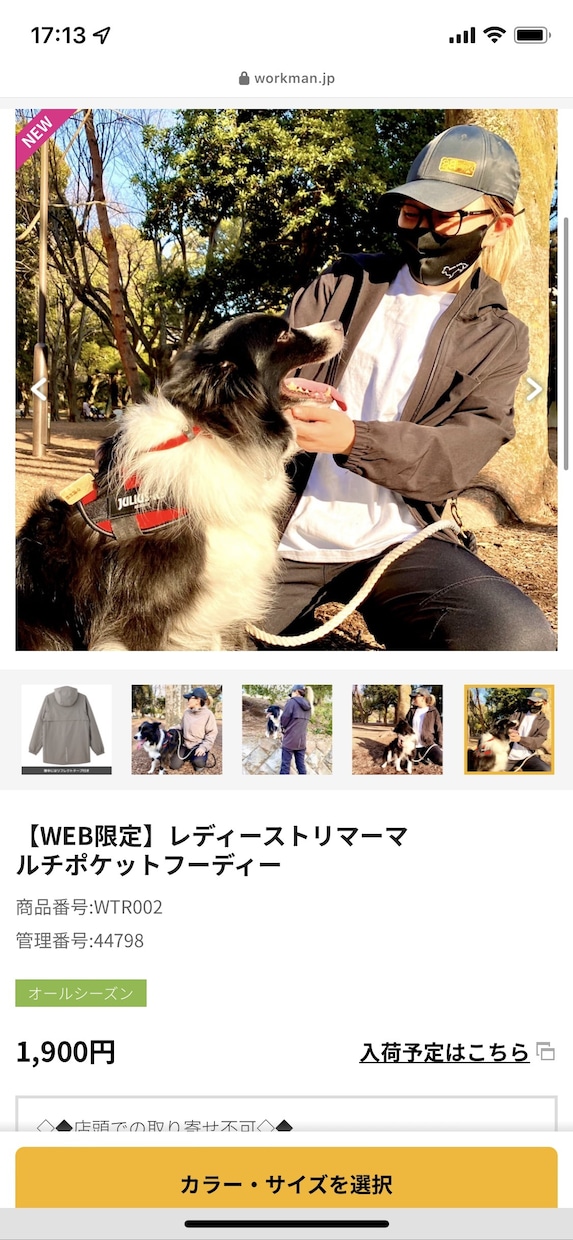 犬のプロがペットビジネスの成功をサポートします 監修、イメージ写真の撮影、PR、新規サービスの相談など イメージ2