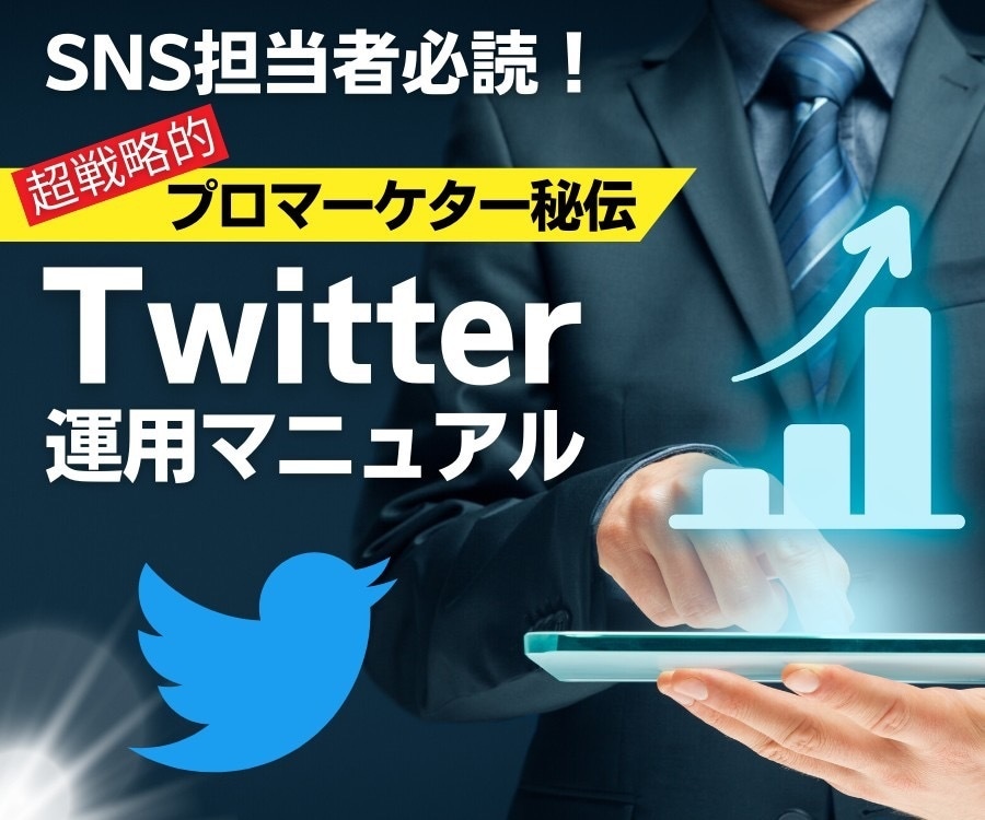 Twitter運用法(KPI設定・戦略等)教えます プロのマーケターが伝授するTwitter運用＆集客マニュアル イメージ1