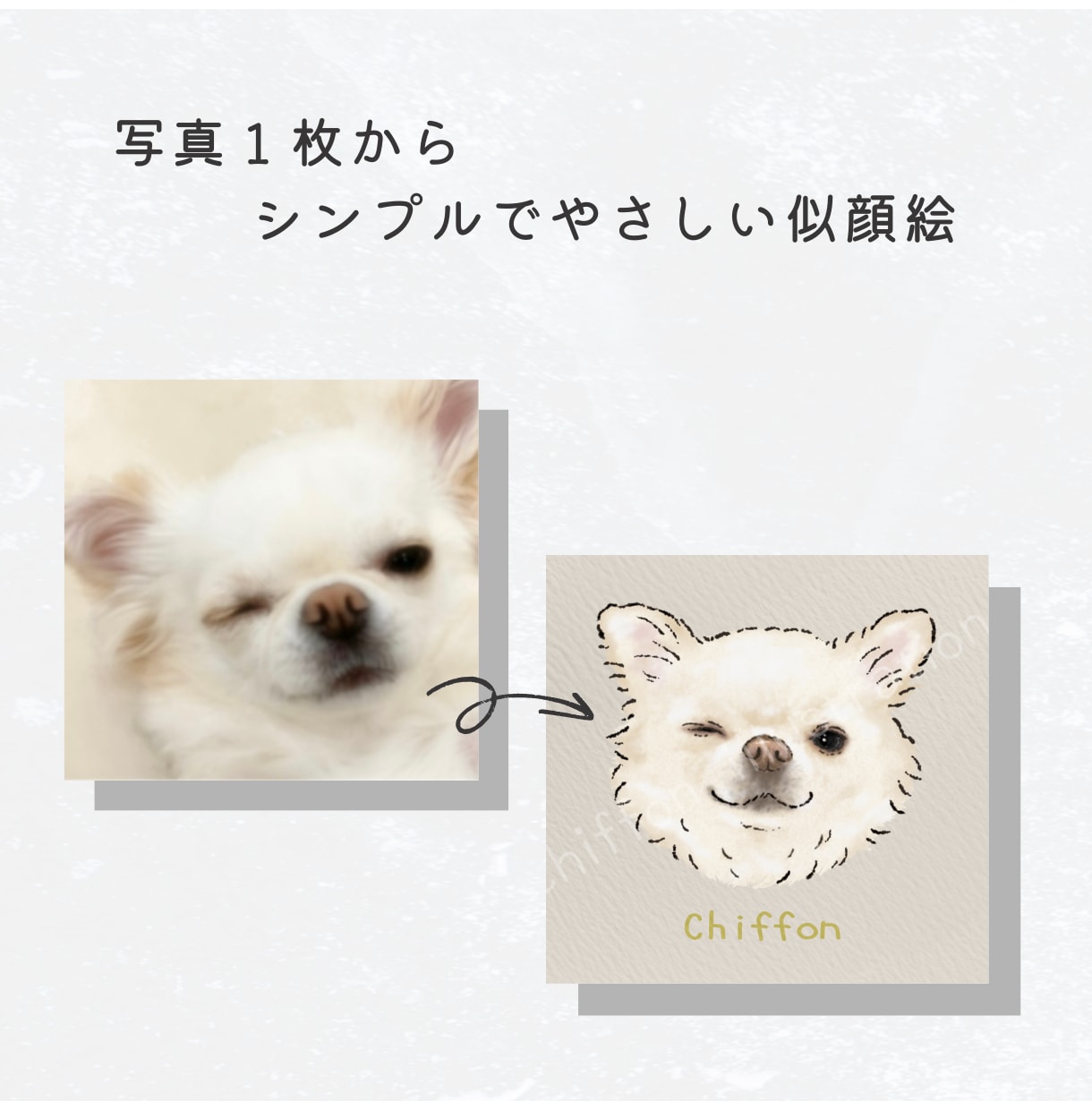シンプルでやさしいうちの子（犬猫）アイコン描きます 実績作りのため1,000円！ペット似顔絵／アイコン イメージ1