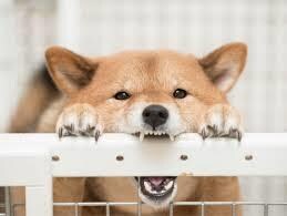 お悩み相談や愚痴のはけ口になります 日頃のうっ憤をぶつけてください！！ イメージ1