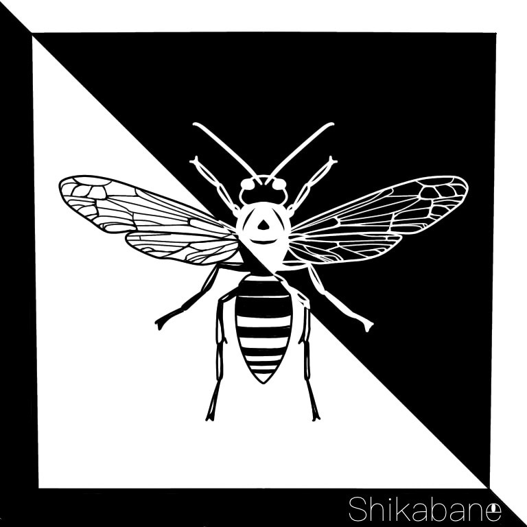 虫や生き物のイラストを制作します 白黒虫アート！額縁から生まれたデザインです イメージ1