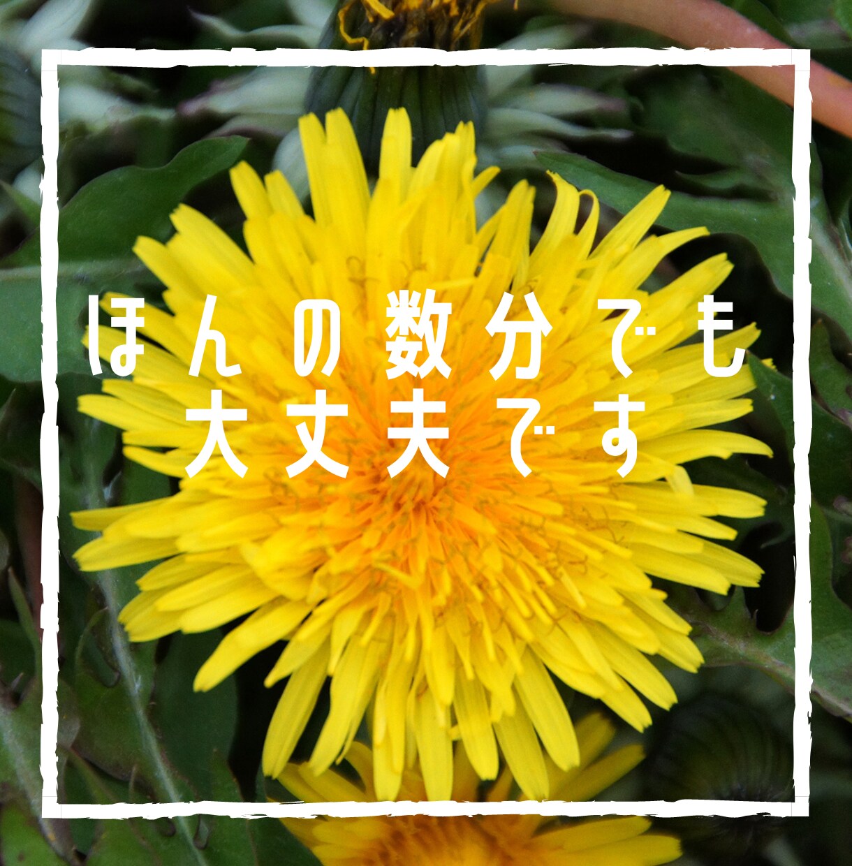 毎週土曜日２２時～仕事で辛い方のお話をお聴きします 仕事をしていて「うつっぽいな」と思ったらすぐご相談下さい！！ イメージ2
