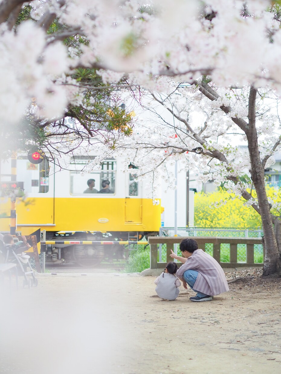子供との大切な瞬間を撮影させて頂きます 子供との何気ない日常を残していくことを大切にしています！ イメージ1