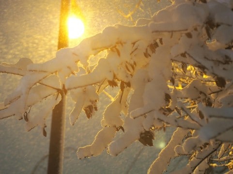 その吐き出したい人間関係の不安や不満を受け止めます どこにも吐き出せない不満や愚痴、不安をここで解消しませんか？ イメージ3