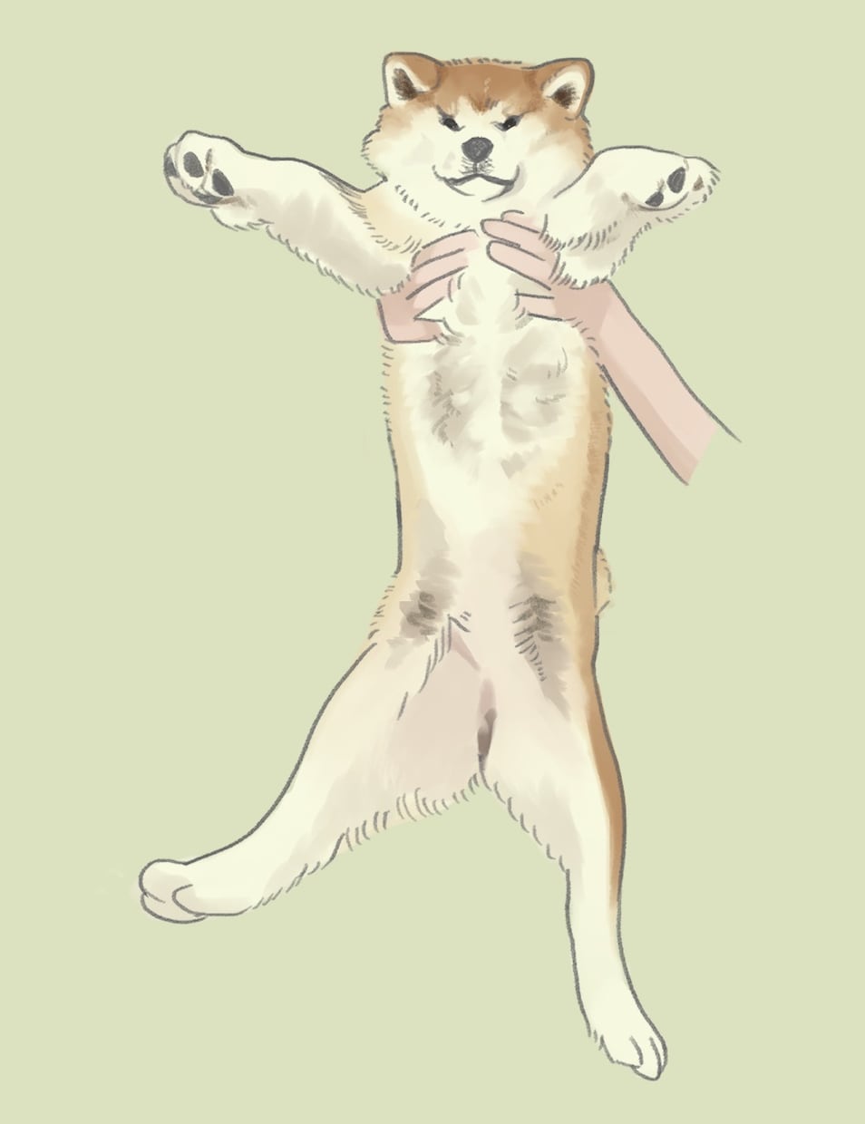 動物のシンプル可愛いイラストを描きます 過度なリアルさやデフォルメを避けたイラストです。 イメージ4