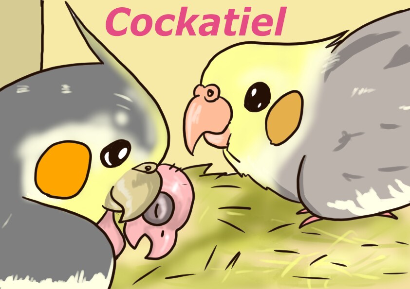 インコ大好きさん集まれ！特価でインコの絵描きます オカメインコ、セキセイインコ、文鳥…鳥なら何でも！ イメージ7