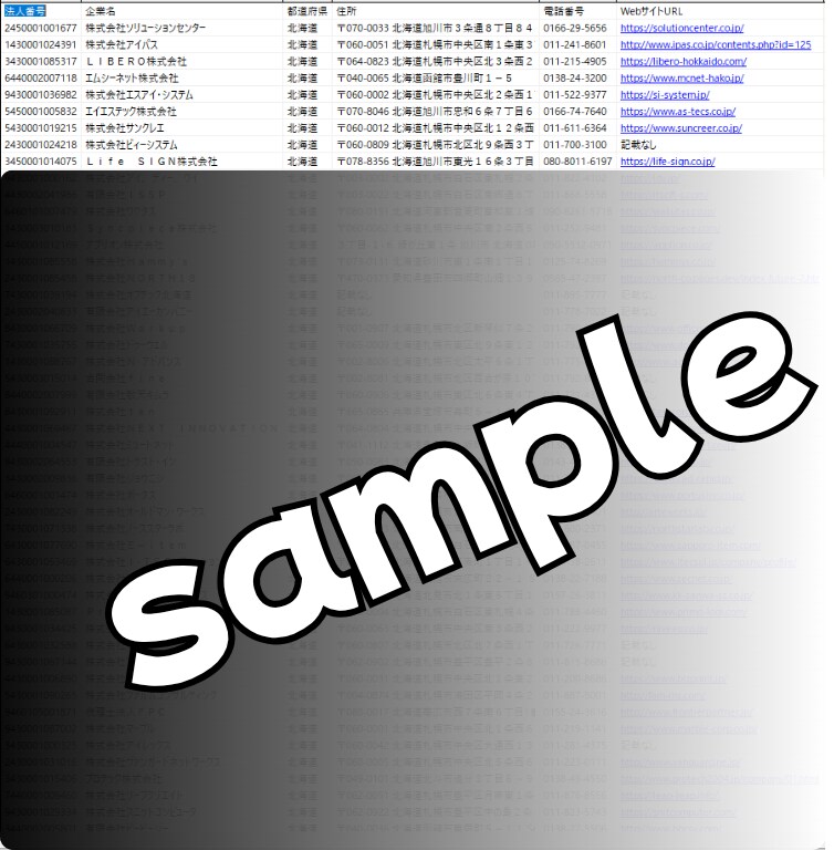 即納！IT企業の新規開拓テレアポリストを提供します BtoB営業に最適！2393件の高純度ITベンダー法人リスト イメージ9
