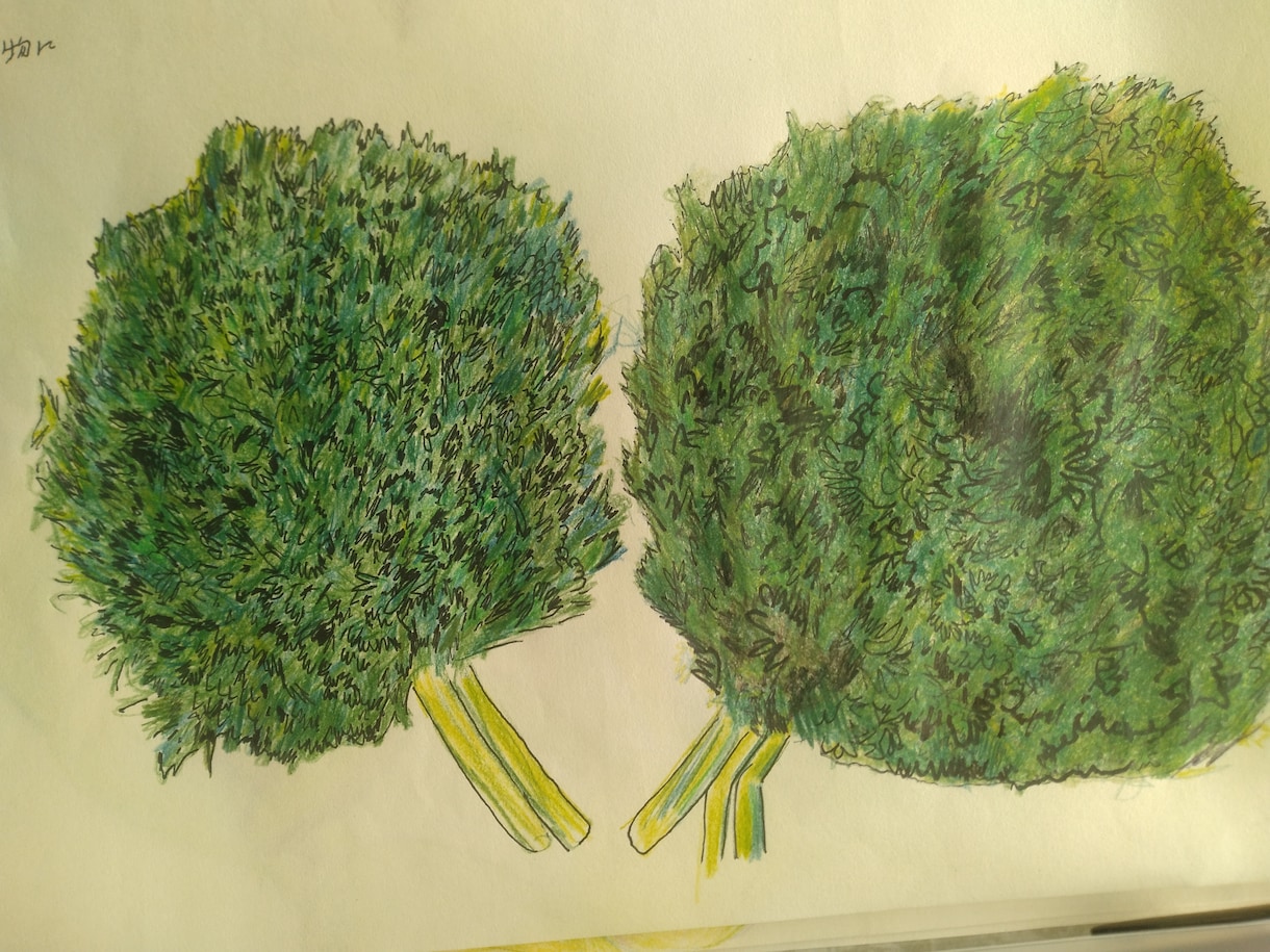 野菜のイラスト、葉の部分の表現　教えてます 初心者向けです。色鉛筆がです。特に緑色の葉野菜おすすめです。 イメージ1