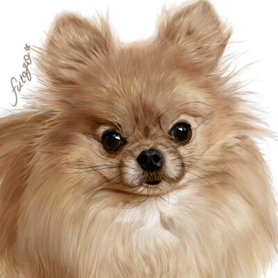 とても美麗！写真レベルのうちの子の似顔絵かきます ペット専門イラストレーターが丹精込めて描かせていだたきます！ イメージ4