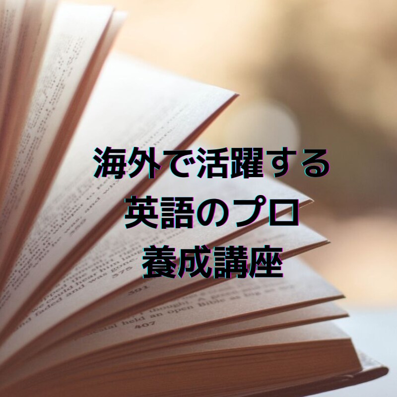 外国で活躍出来る英語を身につけることが出来ます 一生通用する外国語(英語)のプロフェッショナル養成講座 イメージ1