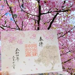 本気の人のみ！他心通で不倫・浮気の真実を占います 不倫・W不倫・浮気など複雑恋愛の専門家による究極霊視鑑定 イメージ2