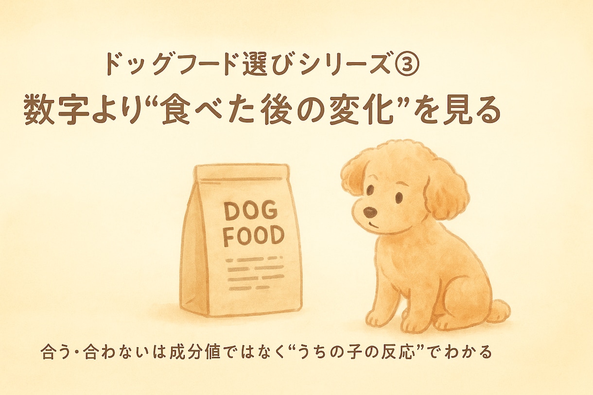 犬の食事やフードの不安を一緒に整理します 今のごはんが合っているか 迷っている方へ イメージ5