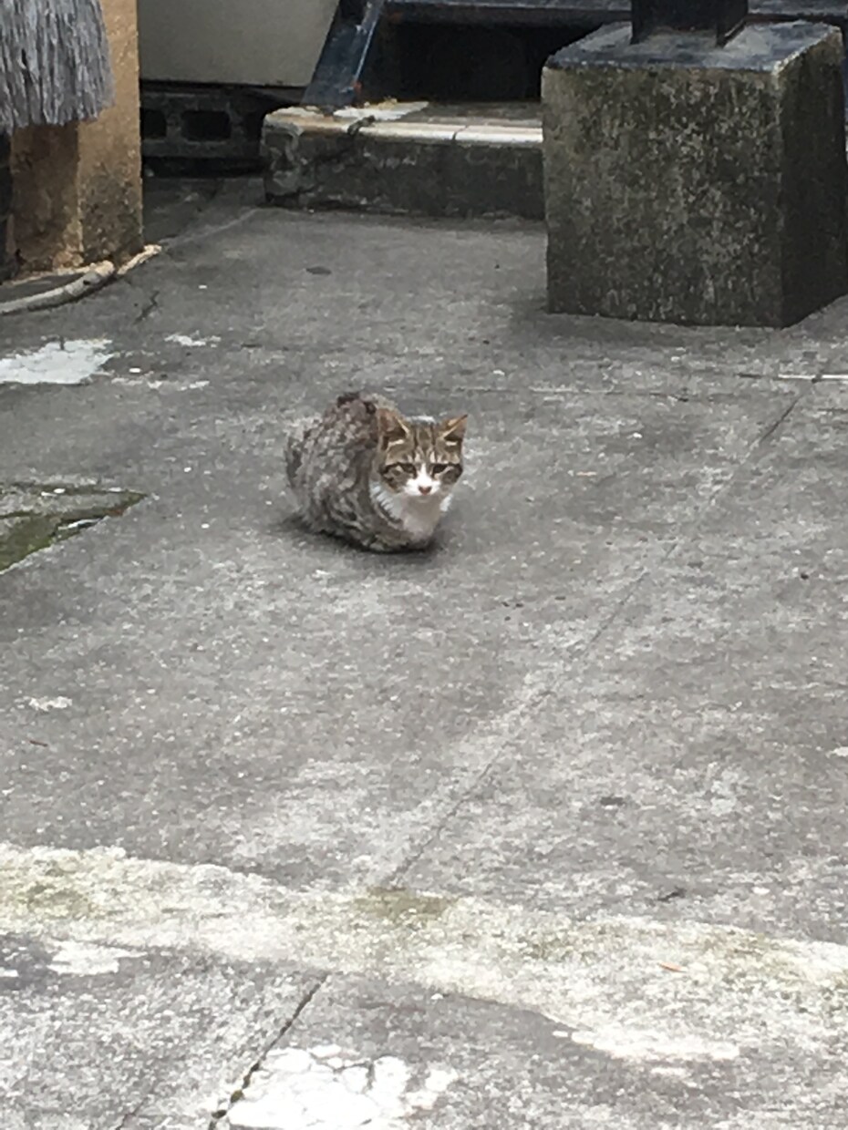 あなたの愚痴、お悩み聞きます 20代男性ですがよろしくお願いします！ イメージ1