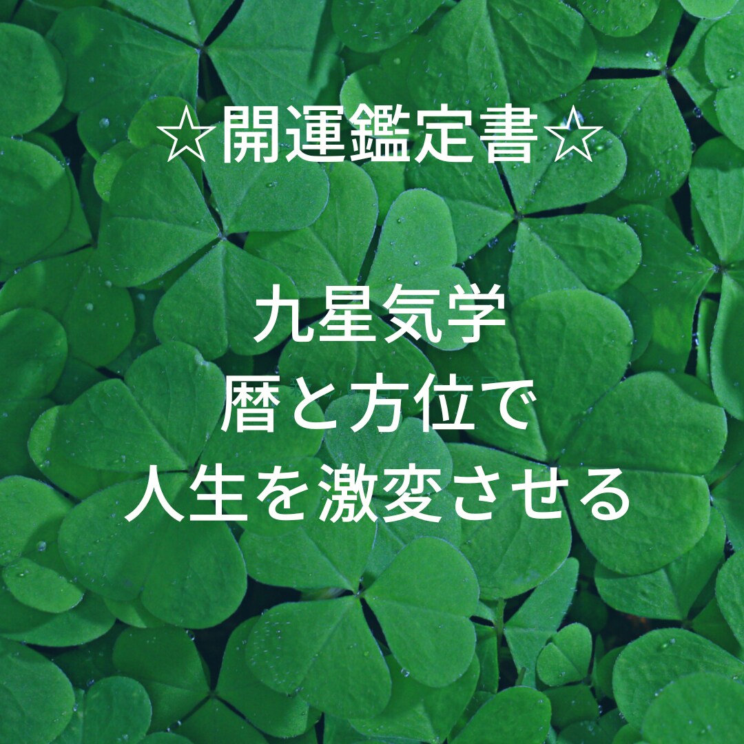 オーダーメイドの九星氣学鑑定書作成し(簡易版)ます あなただけの開運方法がわかります イメージ1