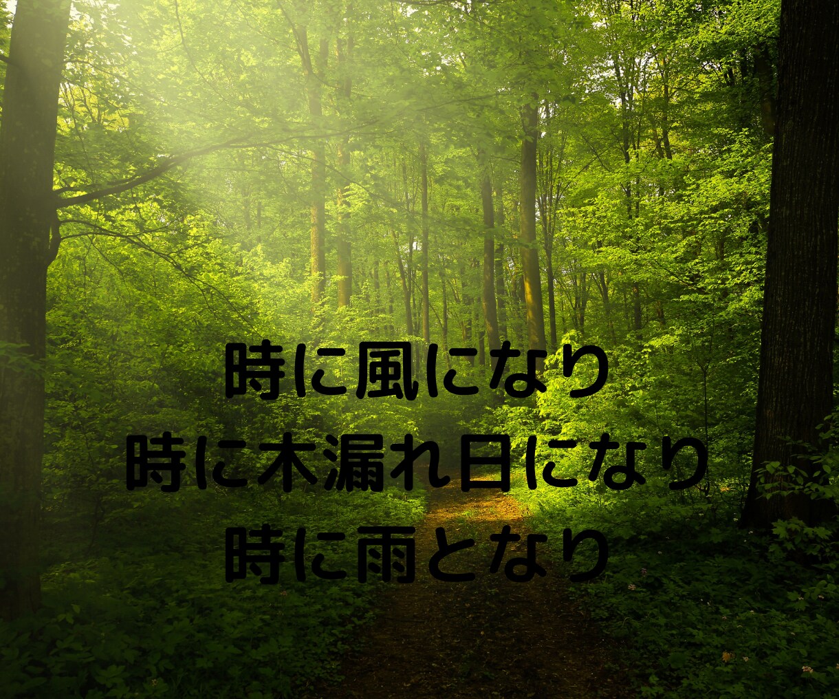 大切な人を亡くした方に寄り添い心を和らげます 心の苦しみ、後悔、喪失感など話してください。 イメージ5