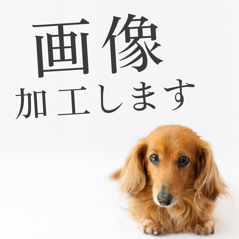 複雑なものも対応可能！　画像加工します 切り抜き+合成、消去、レタッチ、明るさ色調整、など イメージ3