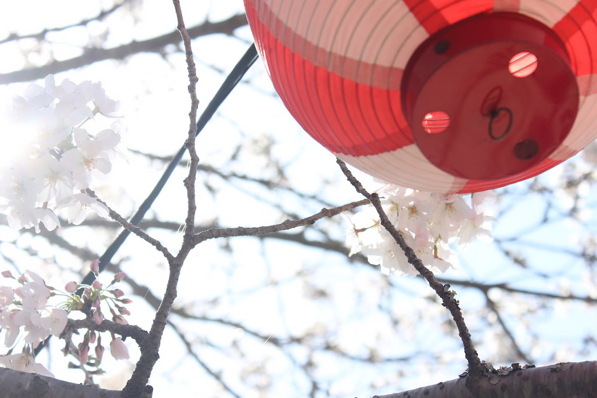 様々な写真（主に風景写真）を提供します スマホでは簡単に撮れない写真で彩りを引き出そう イメージ1