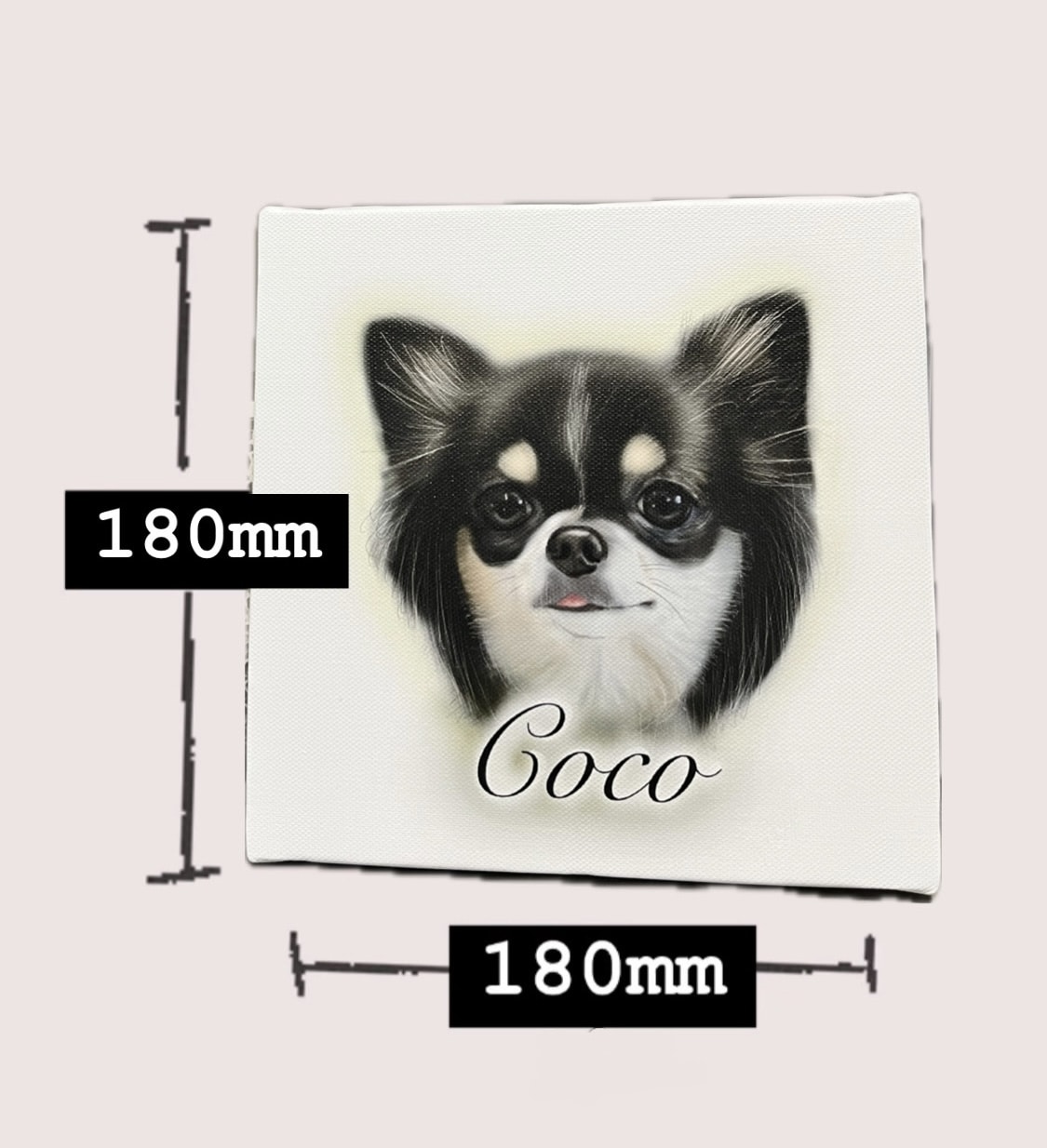 愛犬(チワワちゃん専門)の似顔絵描きます 記念日に我が子の絵を作ってみませんか？ イメージ4