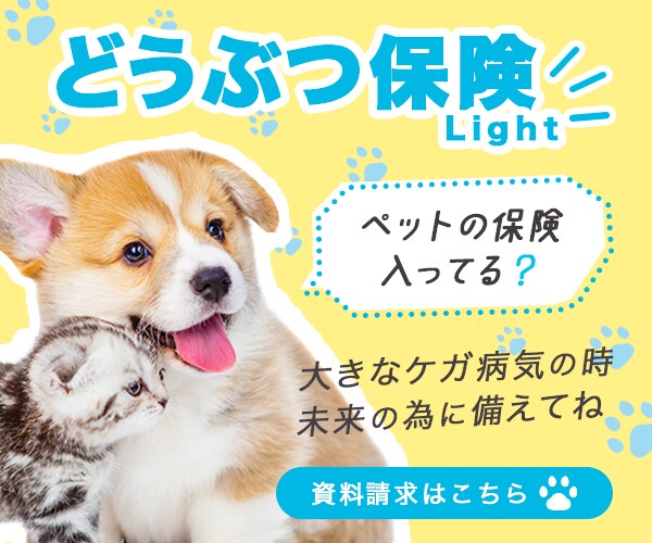 女性向けでやさしい・シンプルなバナー制作致します 丁寧なヒアリング・修正回数無制限を提供 イメージ5