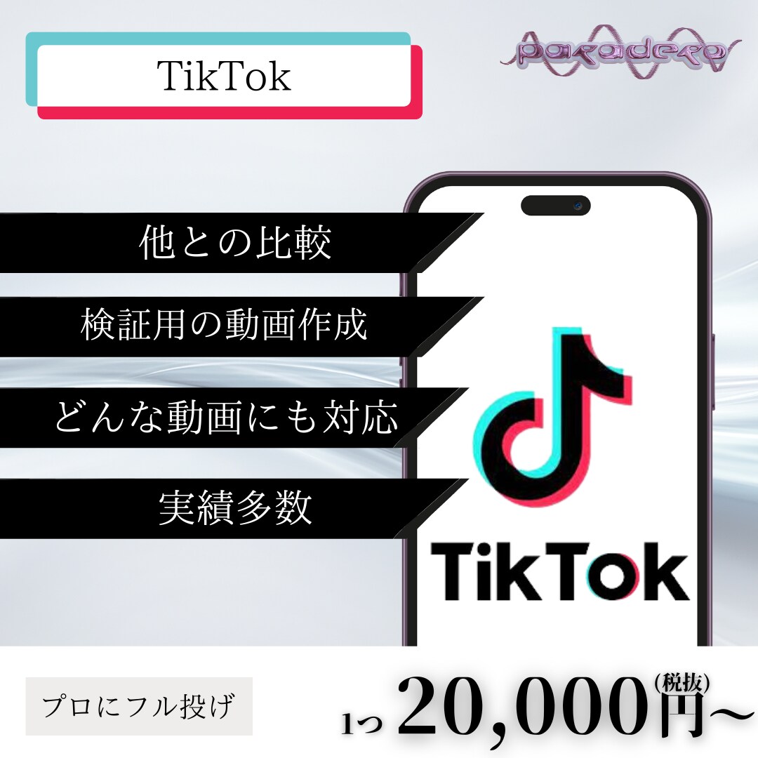 検証や仮設のお手伝いをします TikTokでこれから集客をした方におすすめ イメージ1