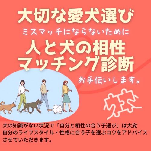 人と犬の相性マッチング◯愛犬選びサポートします 相性のミスマッチで愛犬飼育困難に陥らないために イメージ1
