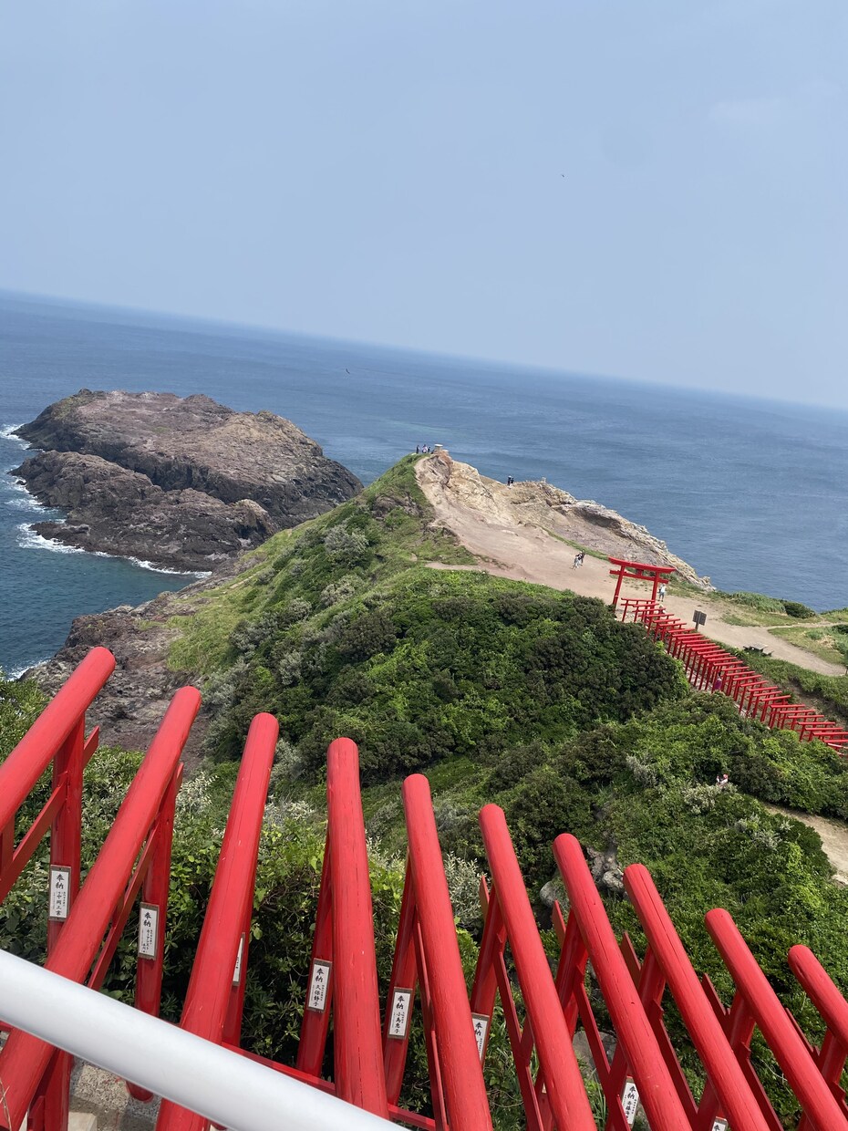 麻雀教えます 初心者中級者の方でお困りの方気軽に！ イメージ1