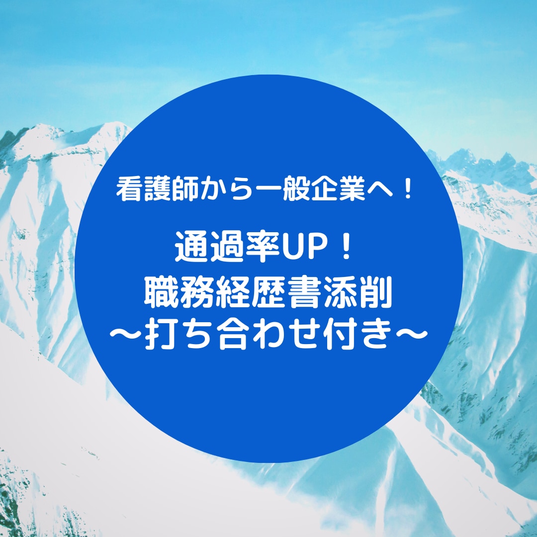 企業転職したい看護師さん必見！職務経歴書添削します ★看護師の職務経歴書★「採用したい！」と思わせる！ イメージ1
