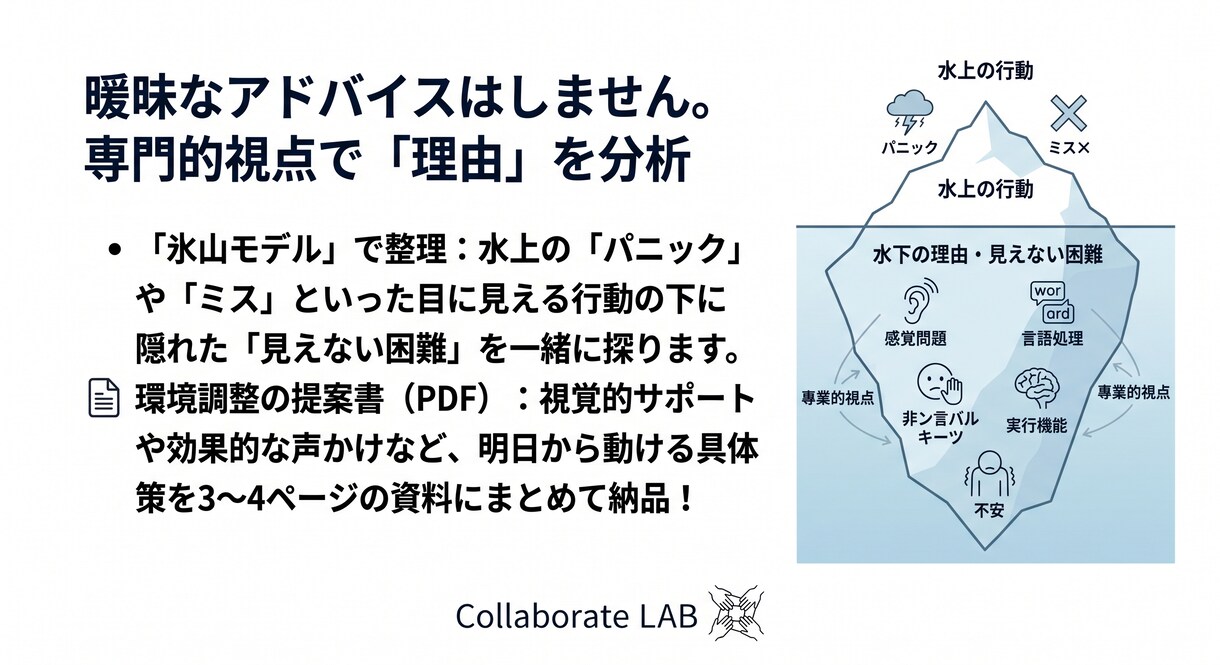 現役の専門家が自閉症支援をPDFで作成します 現役支援員(15年)修士号が一緒に評価、分析して考えます イメージ4