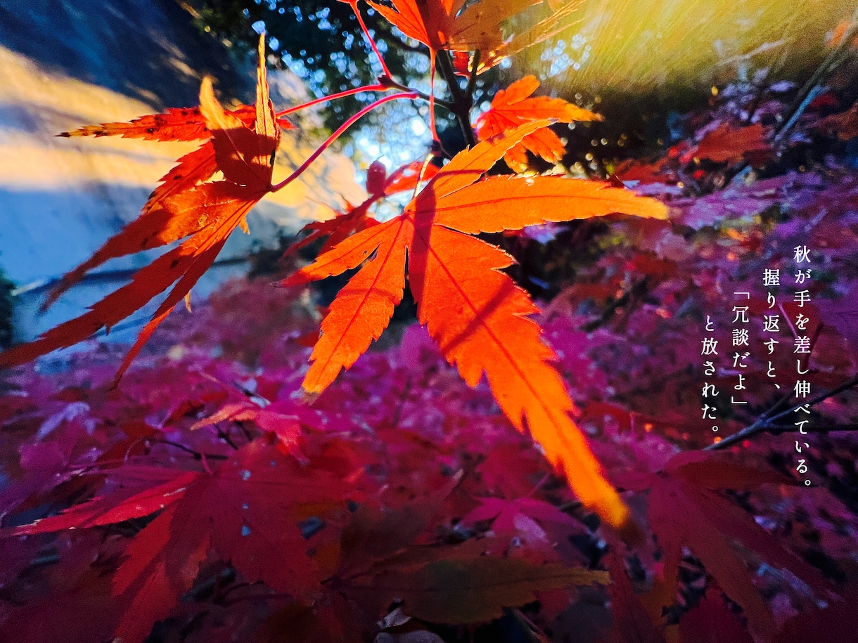 出版経験ありの現役詩人があなたの写真に詩を書きます あなたの写真の魅力を現役の詩人が詩で引き出します イメージ2