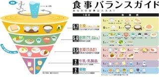 カロリー計算をします この食事のカロリーは？バランスは？ お調べします イメージ2