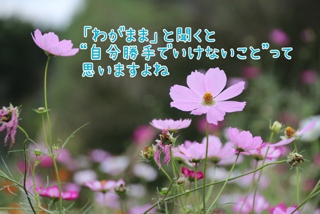 男心？そんなの気にしなくて良い！理由教えます 好かれるために、良い女にならなきゃ、結婚するには、、、 イメージ2