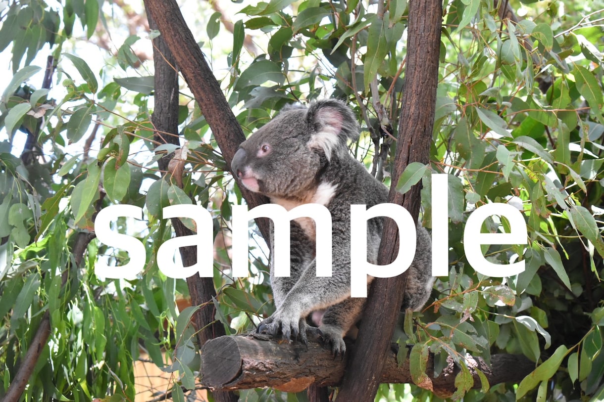 風景写真等の素材提供をします 国内や海外の風景写真等を提供します。 イメージ1