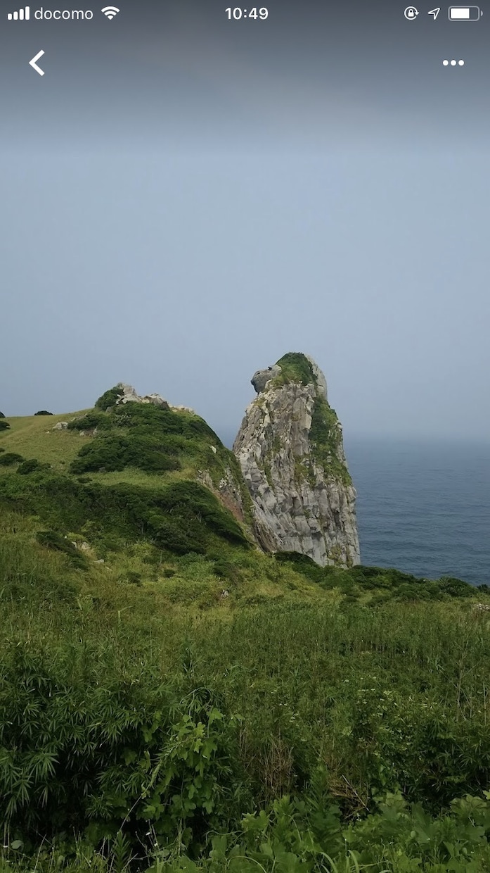 写真を提供します 綺麗な写真など、日常で撮れた写真を提供します。 イメージ1