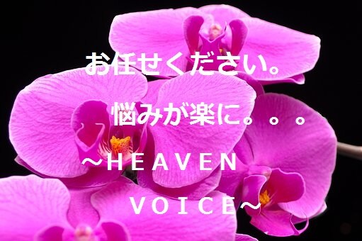 深い悩みやストレス一人で抱えなくて済み、癒されます 辛い人間関係。仕事場の悩み。恋愛の悩み。プロがアドバイス。 イメージ3