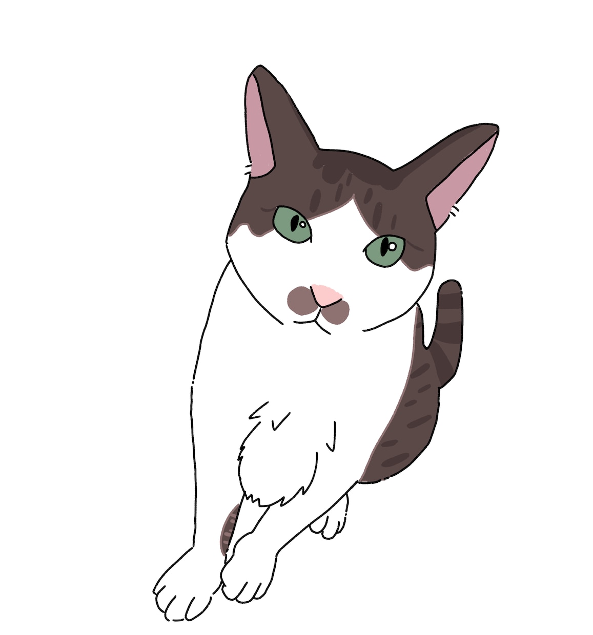 写真からイラストを描きます 大切なペットをイラストにしませんか？ イメージ1