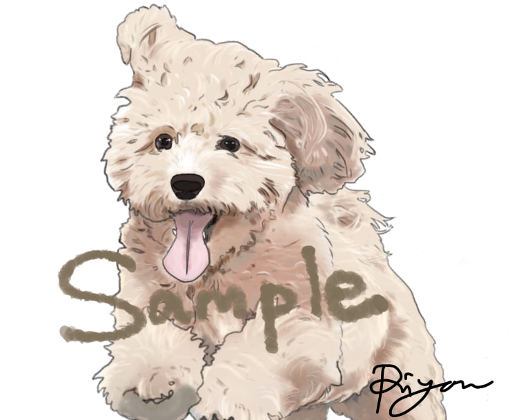 ペット、動物をゆるふわタッチで描きます リアルに近い絵を描くのが得意です イメージ9