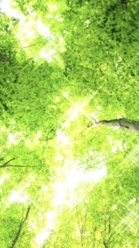 今日の出来事教えて、全て共感し受け止めます あなたが主役、仕事／家庭／趣味／人間関係/恋愛/不倫関係 イメージ7