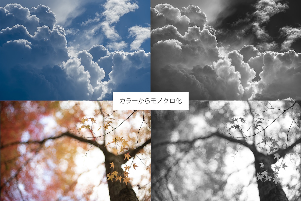 写真をモノクロ写真に仕上げます 【モノクロ写真専門】の経験を活かし仕上げます イメージ2
