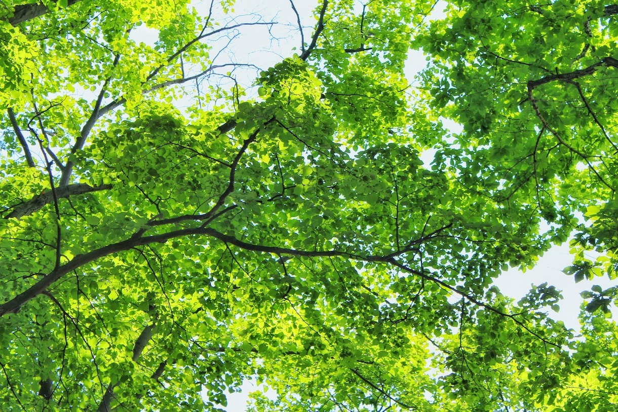 どうしたら？なぜ？のお悩みを解消します そういうことか〜！と気付いて決めるだけで世界が変わります イメージ1