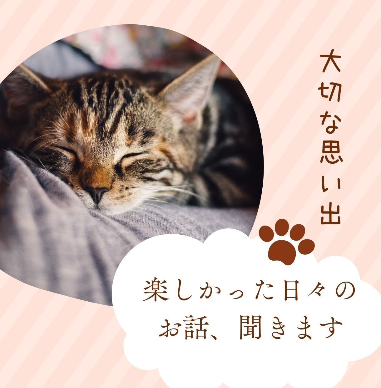 聞かせて❗️愛猫ちゃんのこと☘️アドバイスもします 猫歴10年以上❗️６匹の猫ちゃんと暮らし中✨お悩み相談⭐️ イメージ6
