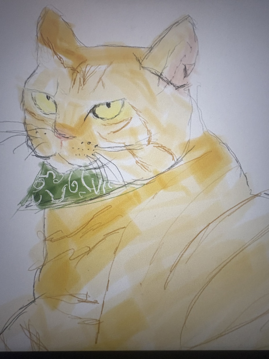 お写真をもとに猫のゆるいイラストを描きます 大切なうちの子を、温かみのある手描きイラストに イメージ1