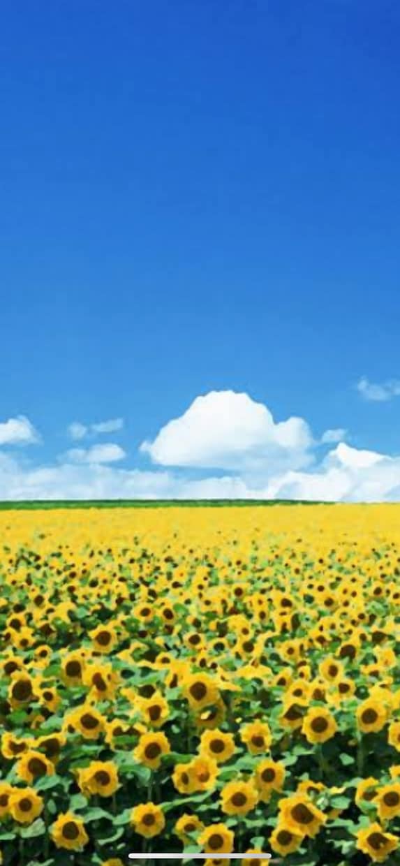 性感アドバイします イケないあなたへイキたいあなたへ イメージ1