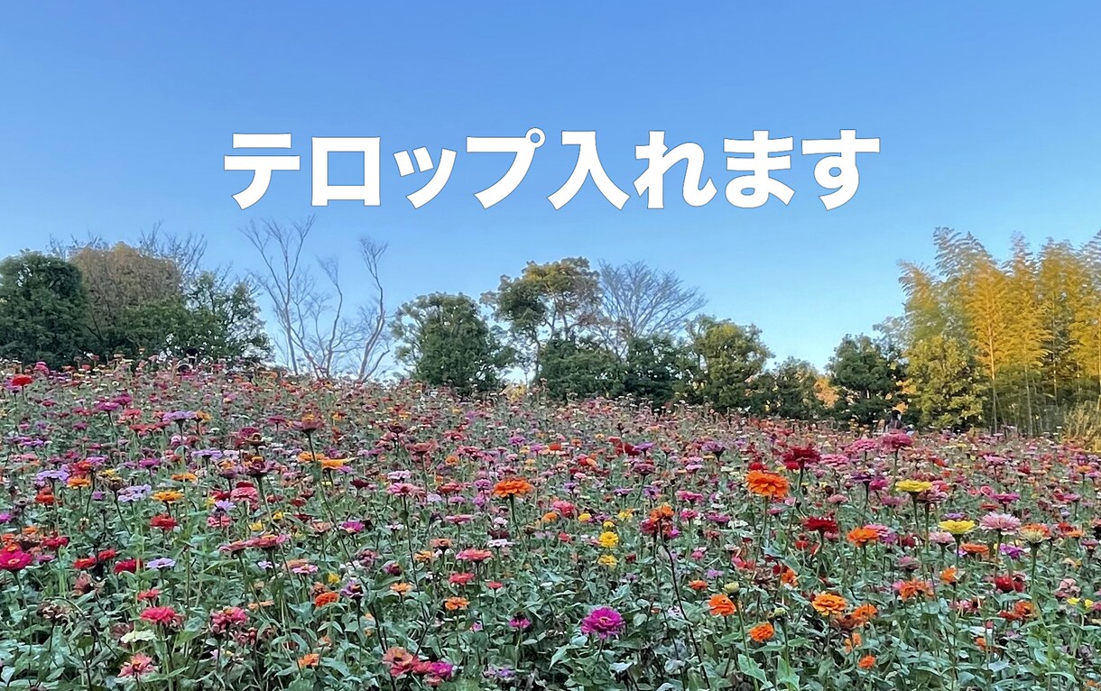 テロップ入れ&見やすくカットします 動画を見やすくカット!コメントテロップを入れます イメージ1