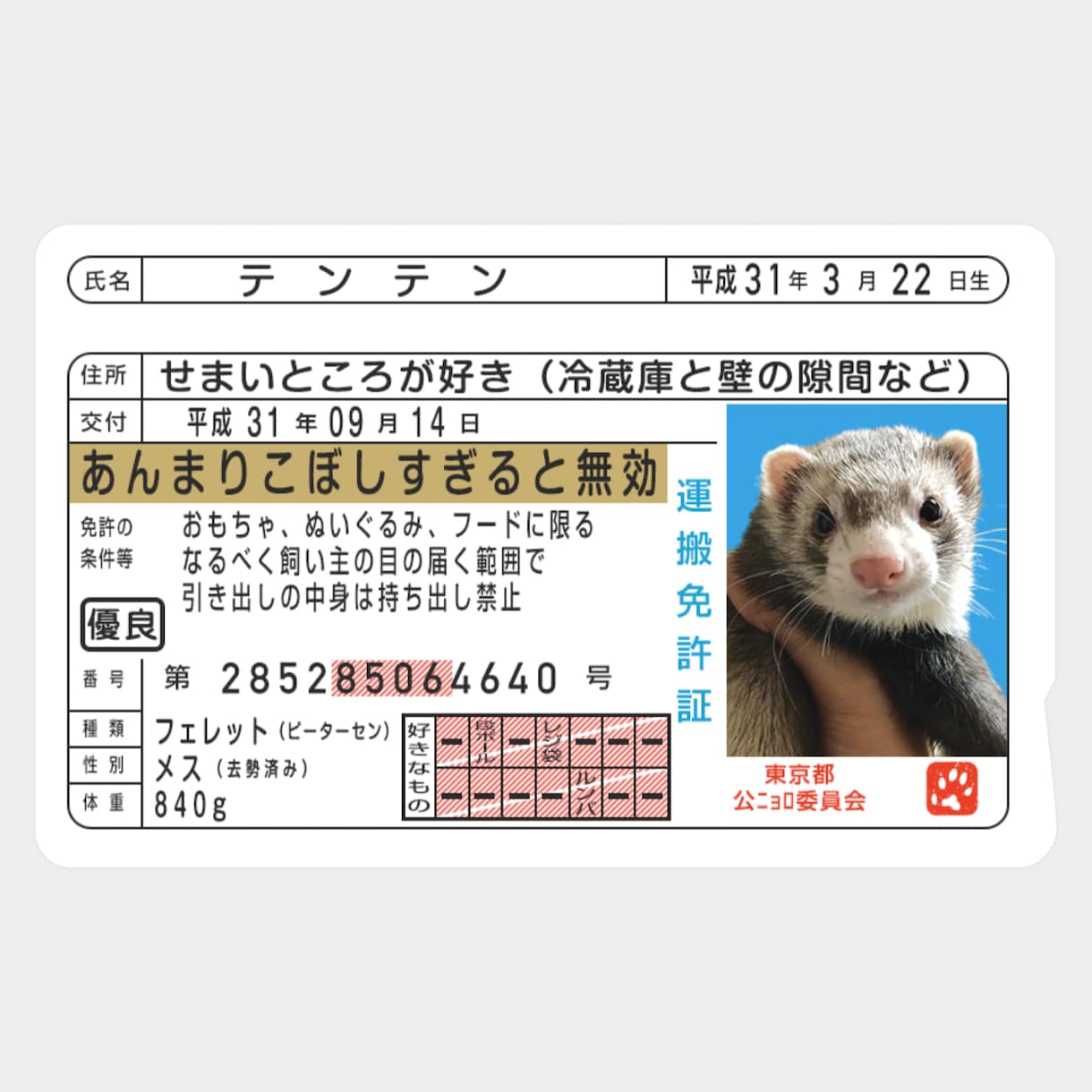 運転免許証そっくりなICカードステッカー作ります ペットの写真で作って、Suicaなどに貼っちゃおう！ イメージ3