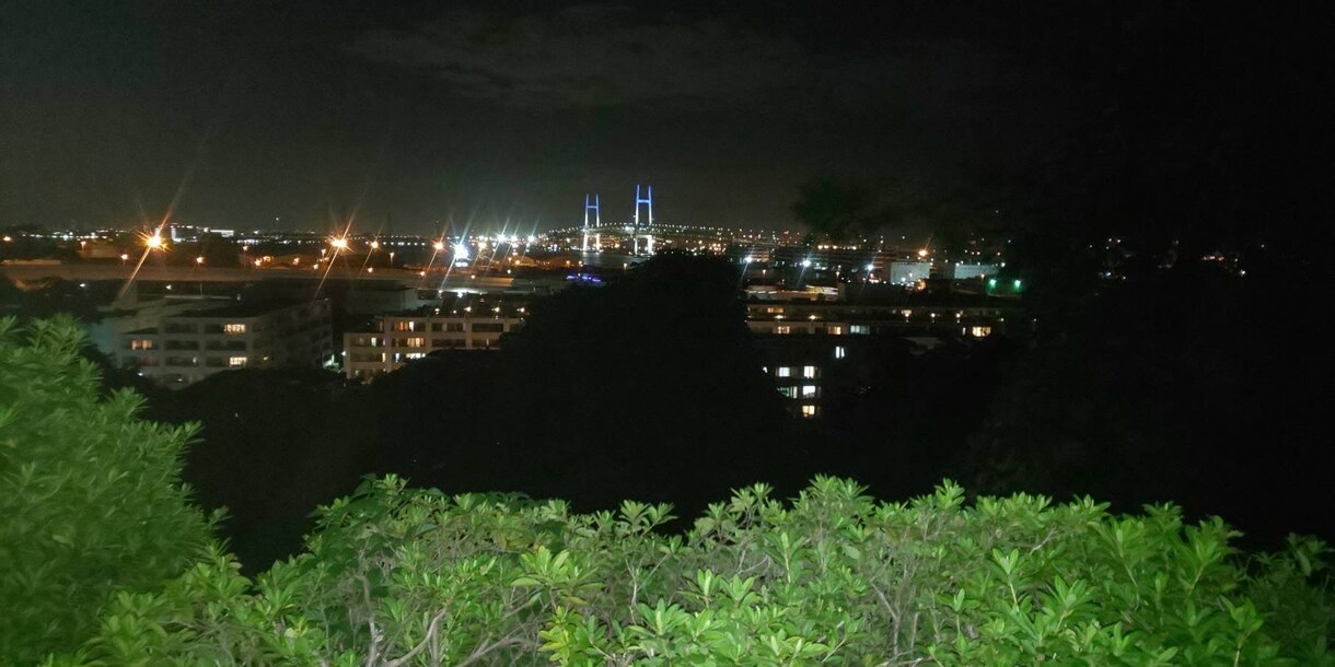 低音オジがお話し聞きます 気軽に愚痴でも何でも話して下さい。宜しくお願いします イメージ1